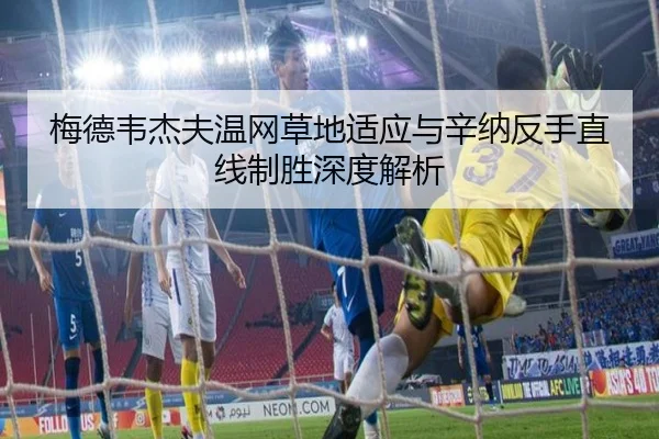 梅德韦杰夫温网草地适应与辛纳反手直线制胜深度解析