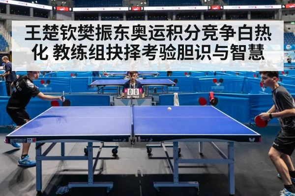 王楚钦樊振东奥运积分竞争白热化 教练组抉择考验胆识与智慧